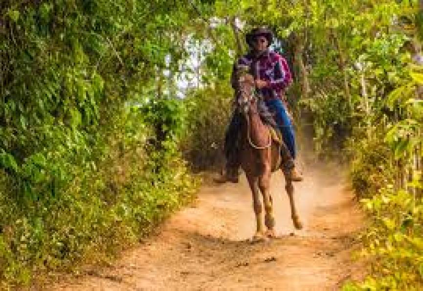 Tour 1 (Sunny Tour) -  11 giorni / 10 notti